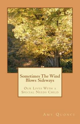 Sometimes The Wind Blows Sideways by Quonce, Amy