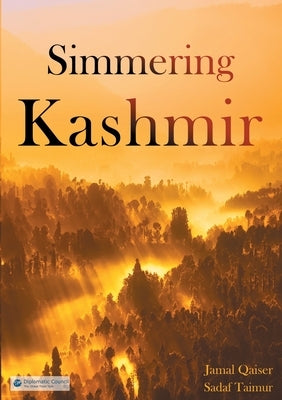 Simmering Kashmir by Qaiser, Jamal