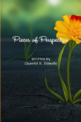 Pieces of Perspective by Demolle, Chantel K.