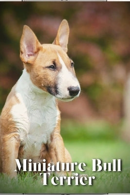 Miniature Bull Terrier: Dog breed overview and guide by Pustova, Nina