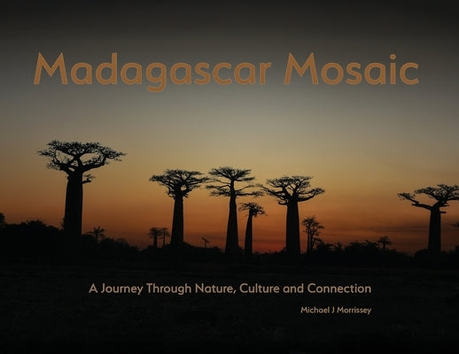 Madagascar Mosaic - A Journey Through Nature, Culture, and Connection by Morrissey, Michael J.