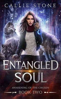 Entangled Soul: A Rejected Mates Shifter Romance by Stone, Callie