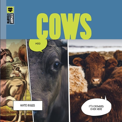 Cows by Riggs, Kate