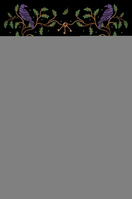 The Traitor of Sherwood Forest by Kaufman, Amy S.