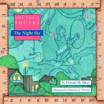 One Small Square, the Night Sky by Silver, Donald
