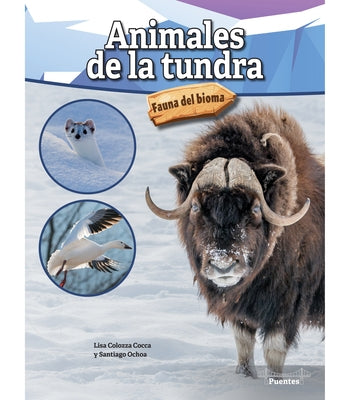 Animales de la Tundra: Tundra Animals by Cocca, Lisa Colozza
