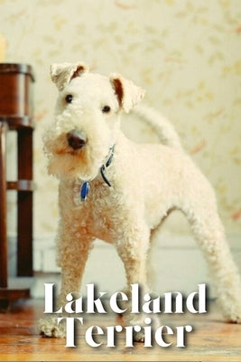 Lakeland Terrier: Dog breed overview and guide by Pustova, Nina