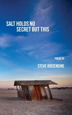 Salt Holds No Secrets But This by Brisendine, Steve