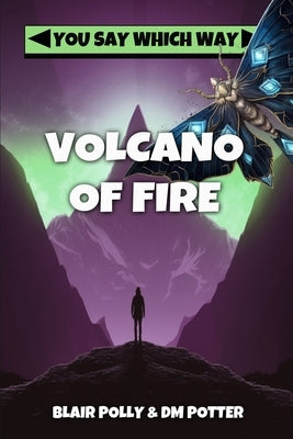 Volcano of Fire by Potter, DM