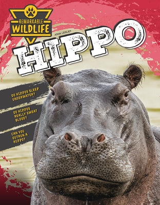 Hippo by Lesley, John