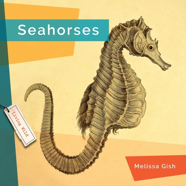 Seahorses by Gish, Melissa