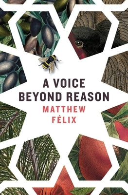 A Voice Beyond Reason: A Coming of Age Novel about Intuition by Félix, Matthew