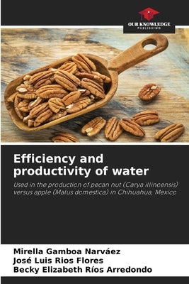 Efficiency and productivity of water by Gamboa Narváez, Mirella
