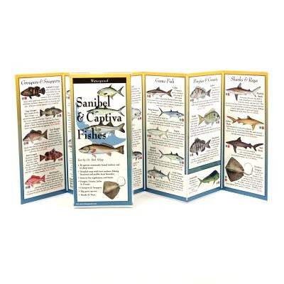 Sanibel & Captiva Fishes by Shipp, Bob