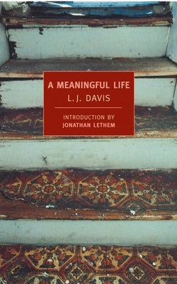A Meaningful Life by Davis, L. J.