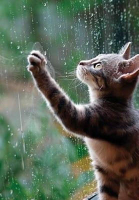 And God Created Cats by Zubry, Boris