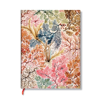 Anemone Ultra Lined Softcover Journal, 176pg, 100gsm by Paperblanks (William Kilburn) by Paperblanks