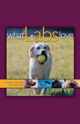 What Labs Love by Camelli, Ed