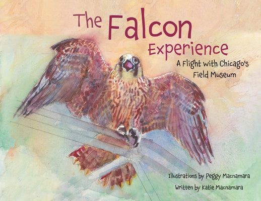 The Falcon Experience: A Flight with Chicago's Field Museum by MacNamara, Katie