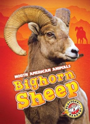 Bighorn Sheep by Borgert-Spaniol, Megan