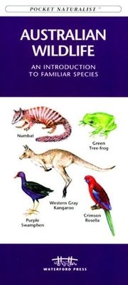 Australia Birds: A Folding Pocket Guide to Familiar Species by Kavanagh, James