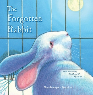 The Forgotten Rabbit by Furstinger, Nancy
