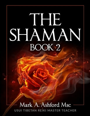 The Practical Shaman Book 2 by Ashford, Mark a.