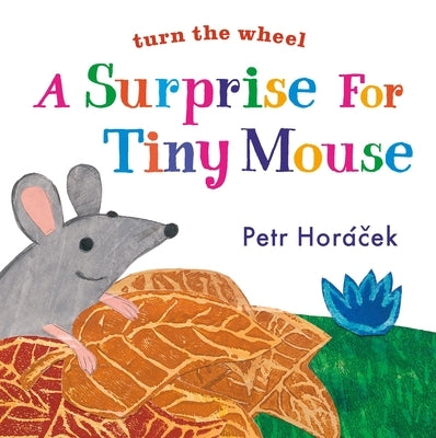 A Surprise for Tiny Mouse by Horacek, Petr
