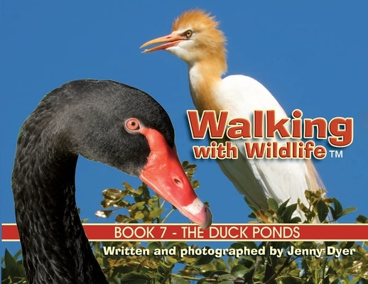 Walking with Wildlife - Book 7: The Duck Ponds by Dyer, Jenny