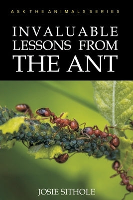 Invaluable Lessons from the Ant by Sithole, Josie