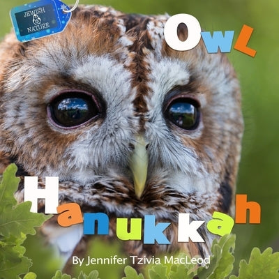 Owl Hanukkah by MacLeod, Jennifer Tzivia