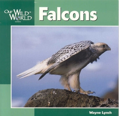 Falcons by Lynch, Wayne
