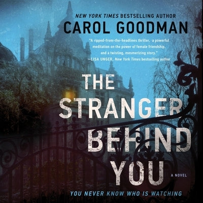 The Stranger Behind You by Goodman, Carol