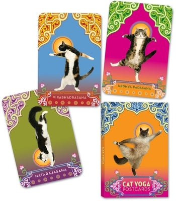 Cat Yoga Postcards by Tillotson, Rick