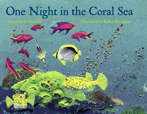 One Night in the Coral Sea by Collard, Sneed B.
