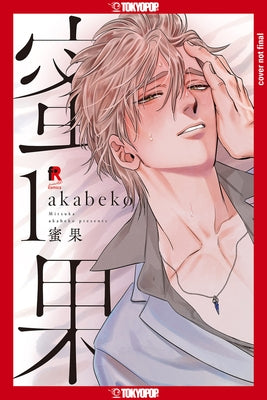 Mitsuka, Volume 1 by Akabeko