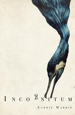 Incognitum by Marrin, Aubrie