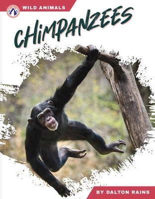 Chimpanzees by Rains, Dalton