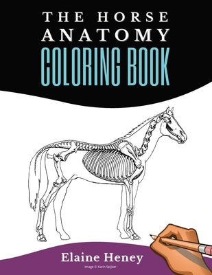 Horse Anatomy Coloring Book For Adults - Self Assessment Equine Coloring Workbook: Test Your Knowledge - For Equestrians & Veterinary Students by Heney, Elaine