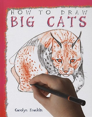 How to Draw Big Cats by Franklin, Carolyn