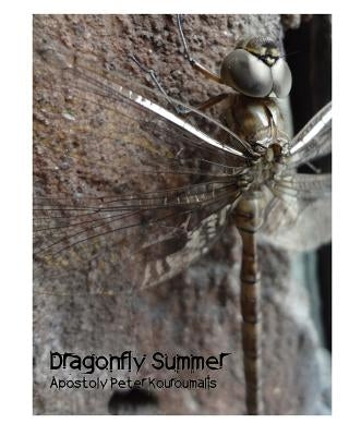 Dragonfly Summer by Kouroumalis, Apostoly Peter