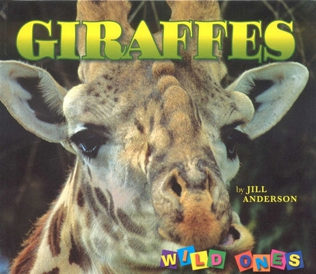 Giraffes by Anderson, Jill
