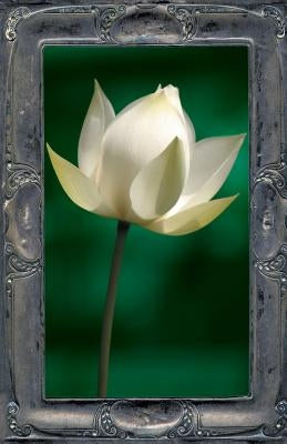 Letting the Lotus Bloom: The Expression of Soul Through Flowers by Kelly, Kevin Joel