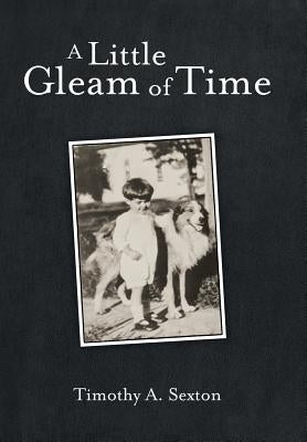 A Little Gleam of Time by Sexton, Timothy a.