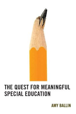 The Quest for Meaningful Special Education by Ballin, Amy