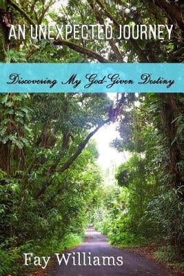 An Unexpected Journey: Discovering My God-Given Destiny by Williams, Fay