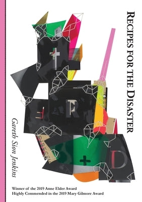 Recipes for the Disaster by Jenkins, Gareth Sion