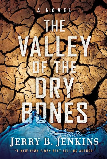 The Valley of Dry Bones by Jenkins, Jerry B.