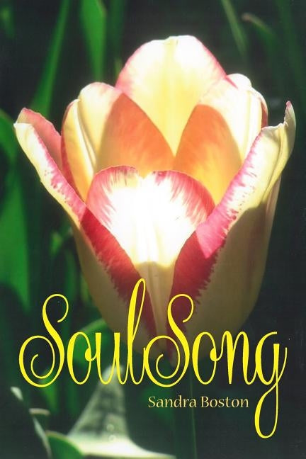 Soul Song by Boston, Sandra