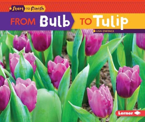 From Bulb to Tulip by Owings, Lisa